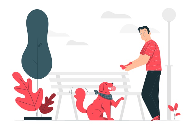 Dog Training