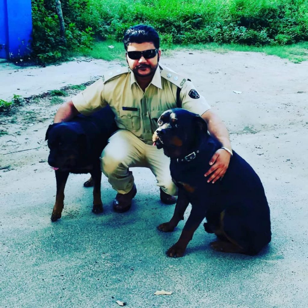 Police dog rottie