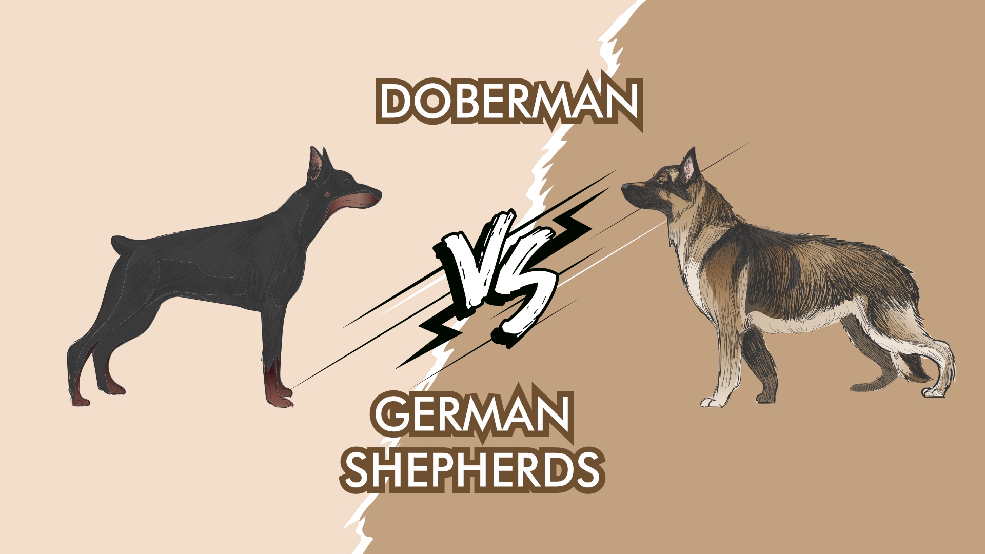 Doberman vs German Shepherd