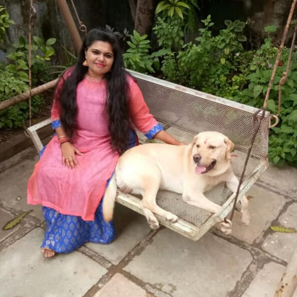 Labrador Breed Dog Dollar Ahmedabad