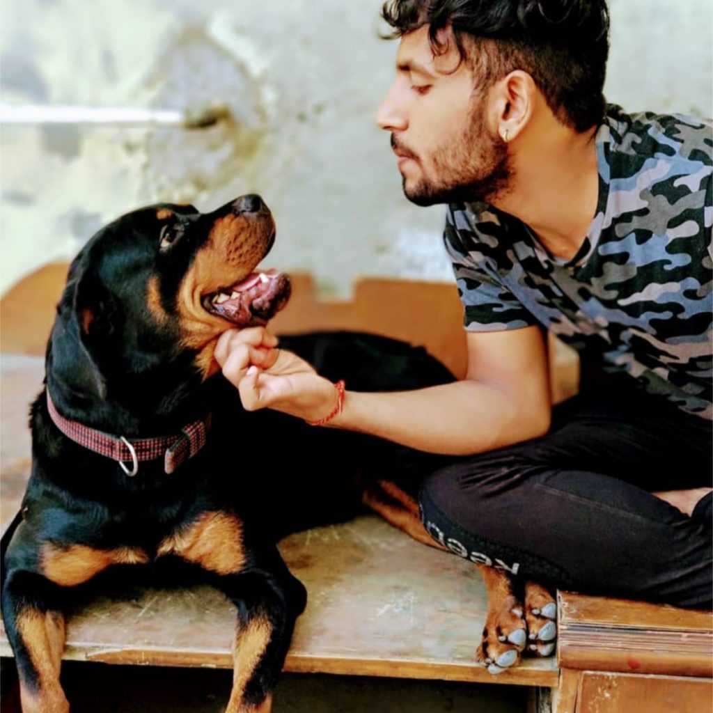 Risky Rottweiler Noida Vishal Rana
